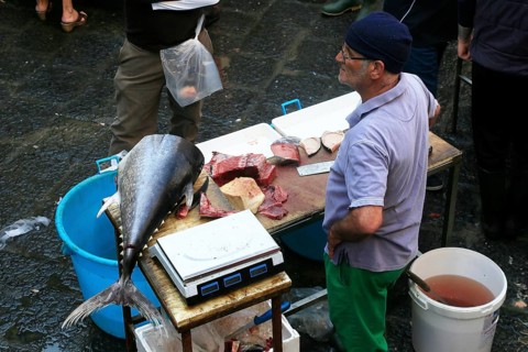 Catania Fish Market