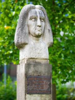 Bust