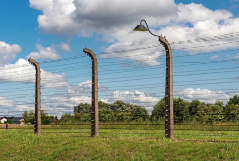 Barbed-wire fence and lamp-post at Auschwitz II-Birkenau concentration camp