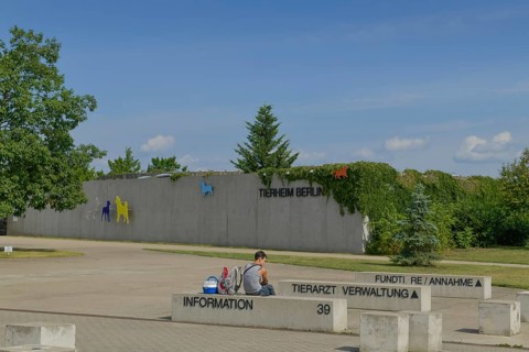 Animal shelter