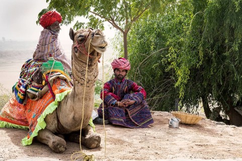 Men of the Dhebariya Rabari community in traditional dress with a dromedary
