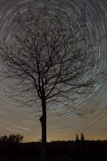 Starry sky in May to the north