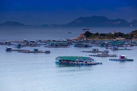 Island of Binh Hung