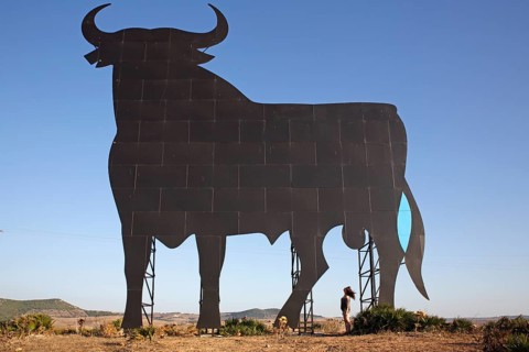 Woman looking at bull silhouette