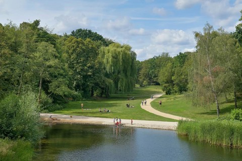 Duck Pond