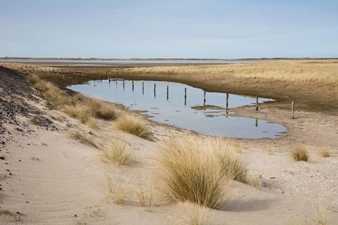 Sea