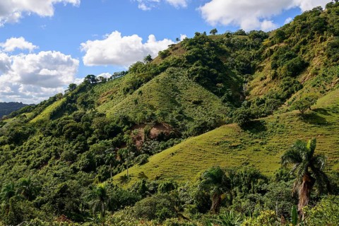 Landscape near Pedro Sanchez