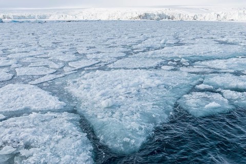 Palanderbukta Bay