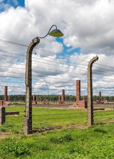 Barbed-wire fence and lamppost at Auschwitz II-Birkenau concentration camp