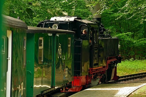 Narrow-gauge railway Rasender Roland