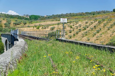 Old railway bridge