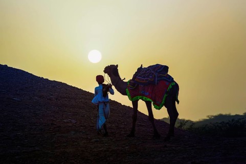 Rabari man climbing a dune with his dromedary at sunset