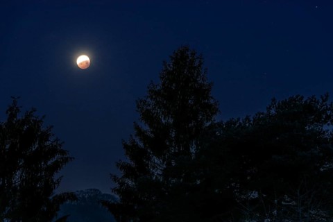 Lunar eclipse