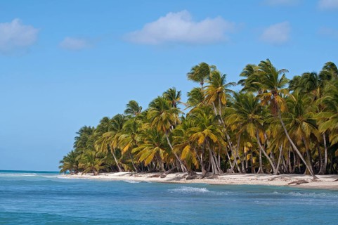 Palm Beach