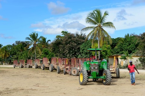 Tractor
