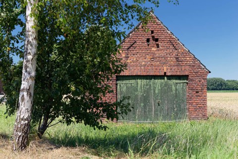 Storage shed
