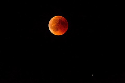 Blood Moon