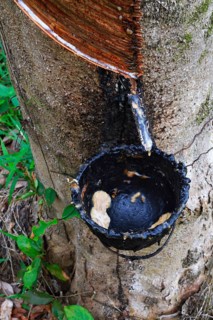 Extraction of natural rubber