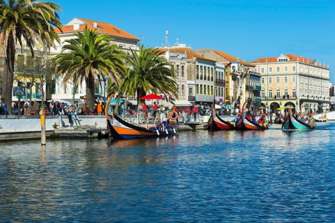 Moliceiros moored along the main canal