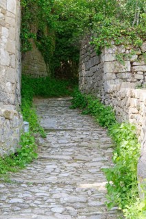 Cobbled way