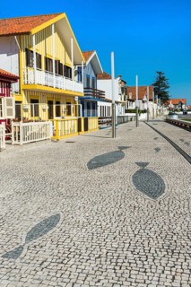 Palheiros typical houses