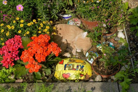 Pet Cemetery