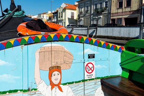 Traditional Moliceiro