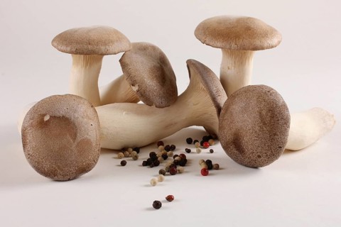 King trumpet mushrooms (Pleurotus eryngii) and peppercorns