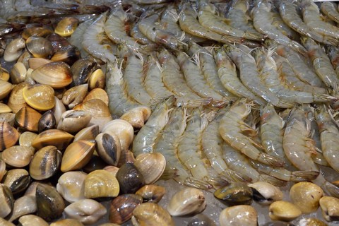 Different kinds of seafood