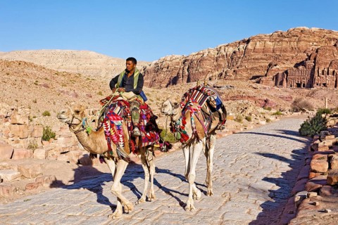 Jordanian (Camelus dromedarius) Camel rider with two camels on colonnaded street