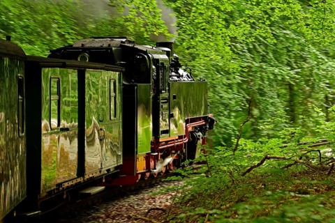 Narrow-gauge railway Rasender Roland