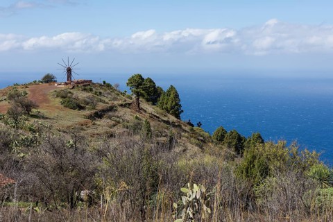 Gofio Mill