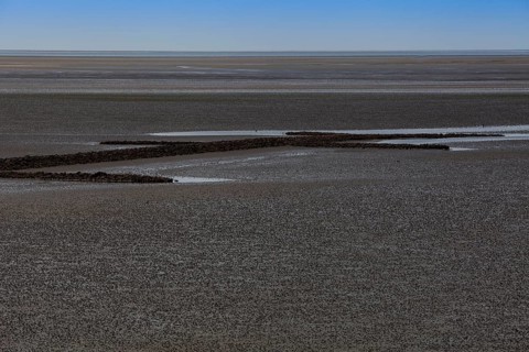 Wadden Sea National Park at low tide