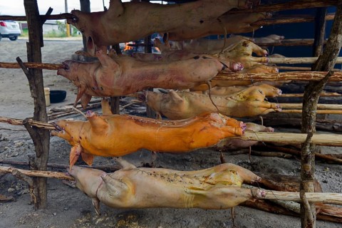Suckling pig for Christmas
