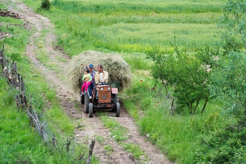 Rural scene