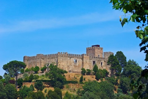 Pombal