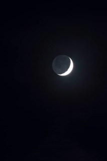 Ash grey moonlight