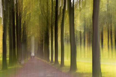 Allee im Herbst