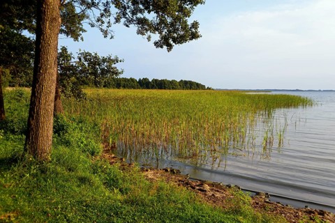 Lake Dargin