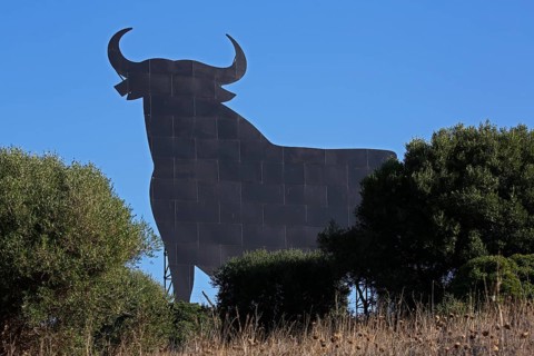 Bull silhouette