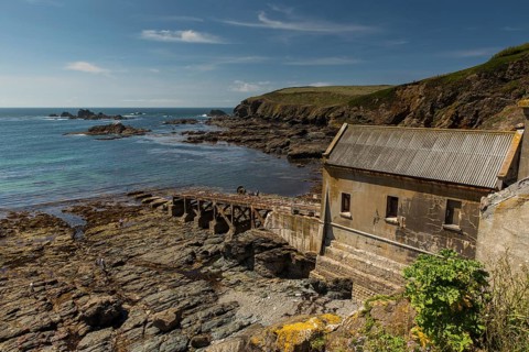 Lizard Point