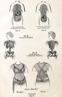 Hygiene of clothing I