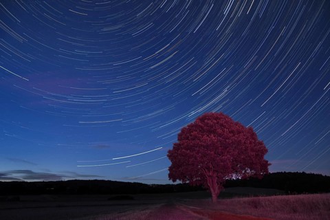 Star trails