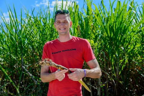 Young man with sugar cane
