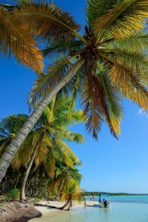 Palm Beach