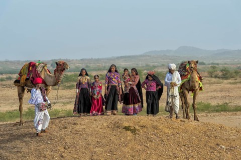 Rabari tribe people walking in the desert with dromedary
