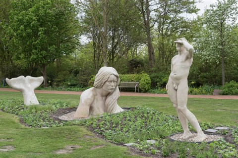 Sculpture Swimming exercises