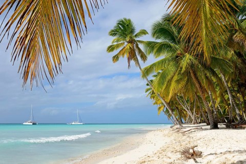 Palm Beach