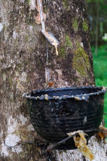 Extraction of natural rubber