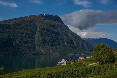 Lustrafjord